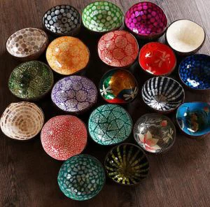 Bol de noix de coco naturel