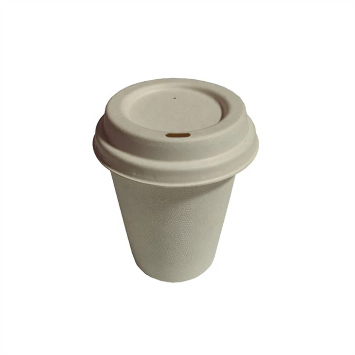 Biodegradable Bagasse Pulp Coffee Cup