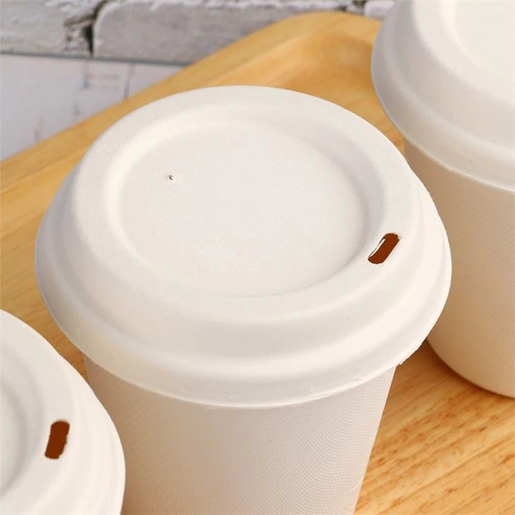 Compostable Sugarcane Bagasse Hot Cups